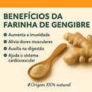 Gengibre Em Pó Puro Alta Qualidade - Importado - Origem Verde