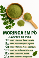 Moringa Em Pó 100% Pura - Produto Natural